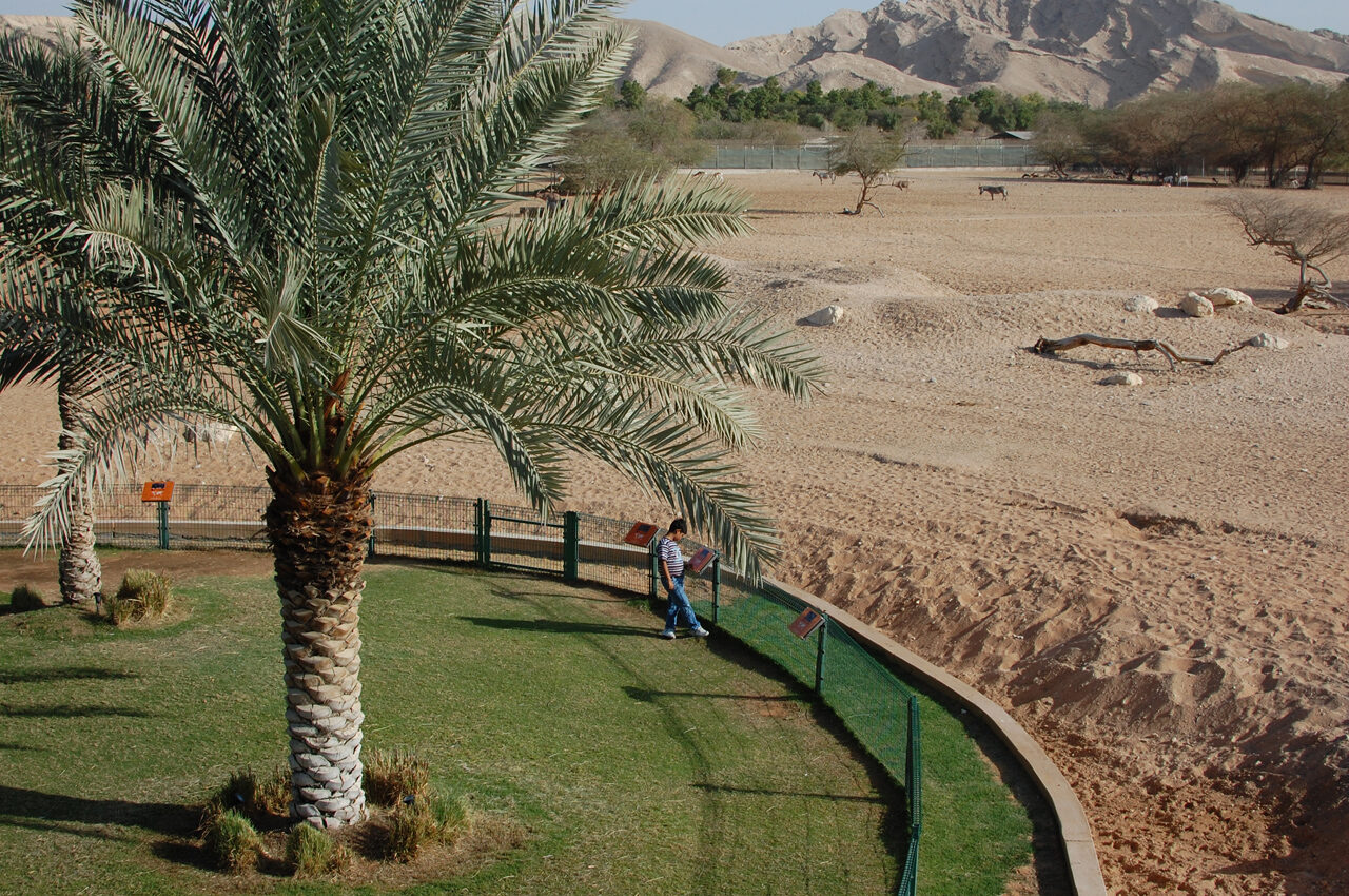 Al Ain Zoo
