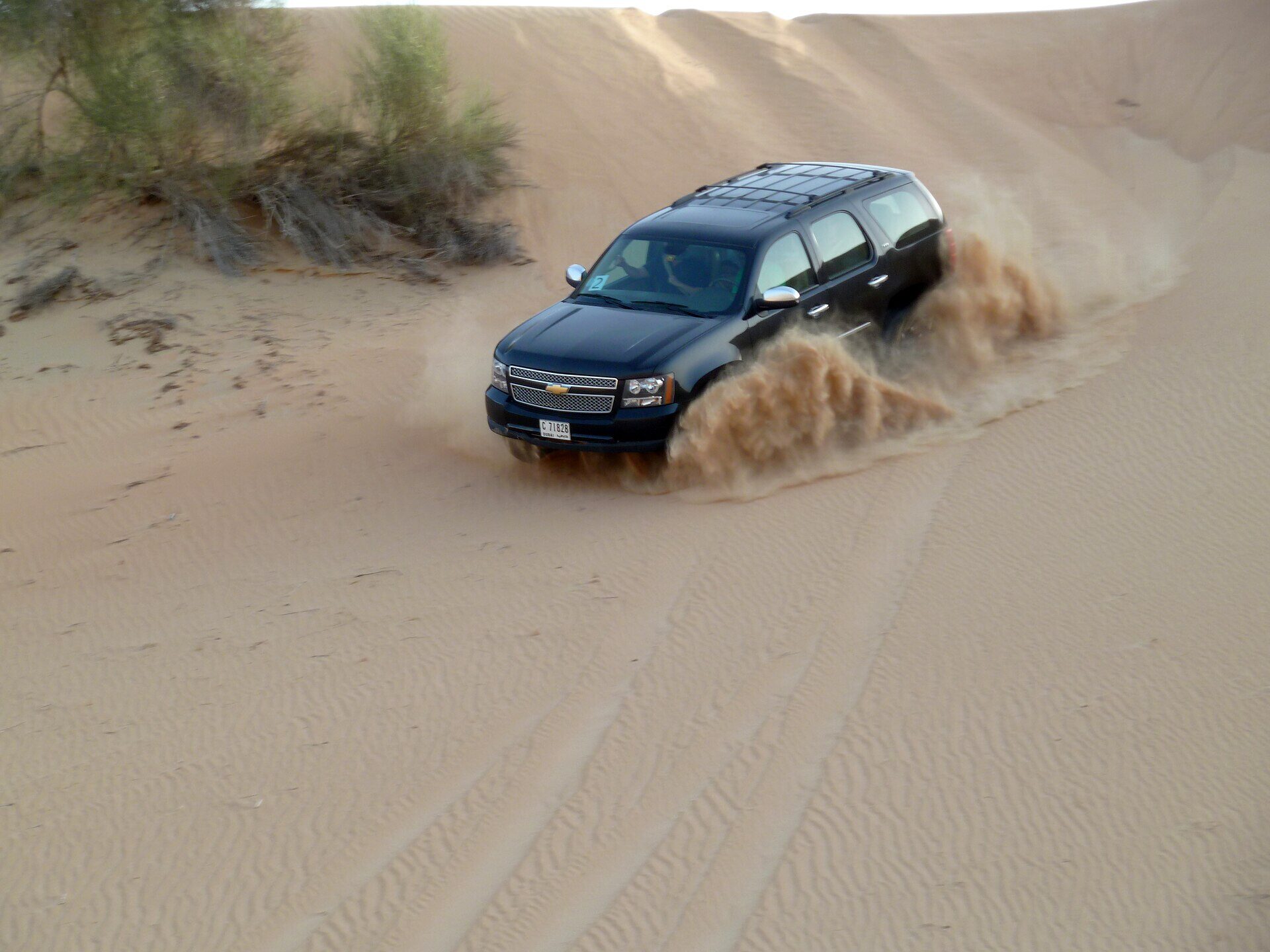 Travel photo from the UAE, view 2
