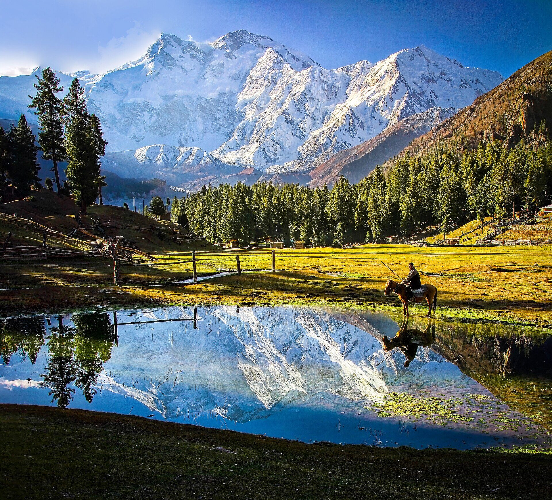 Fairy Meadows, Pakistan