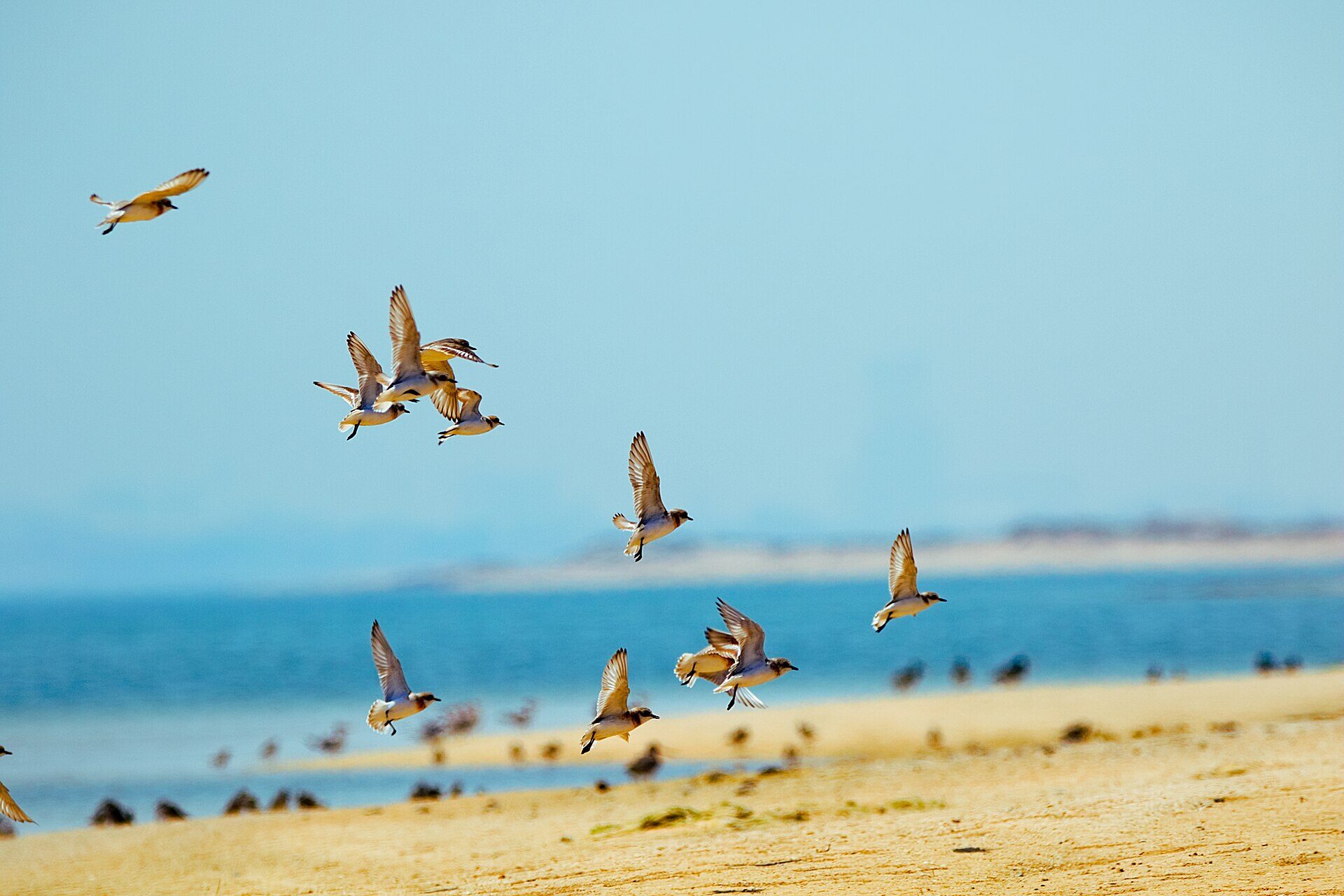 Ras Al Khaimah Heritage Area